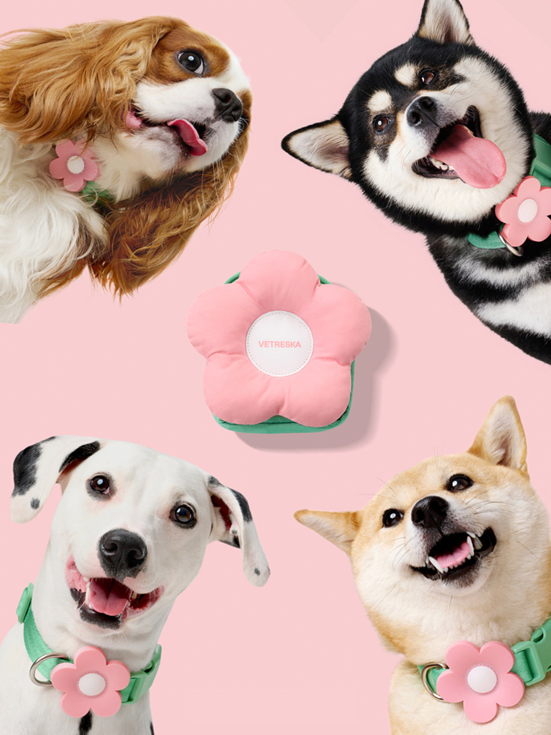 Flora Pet Walk Kit