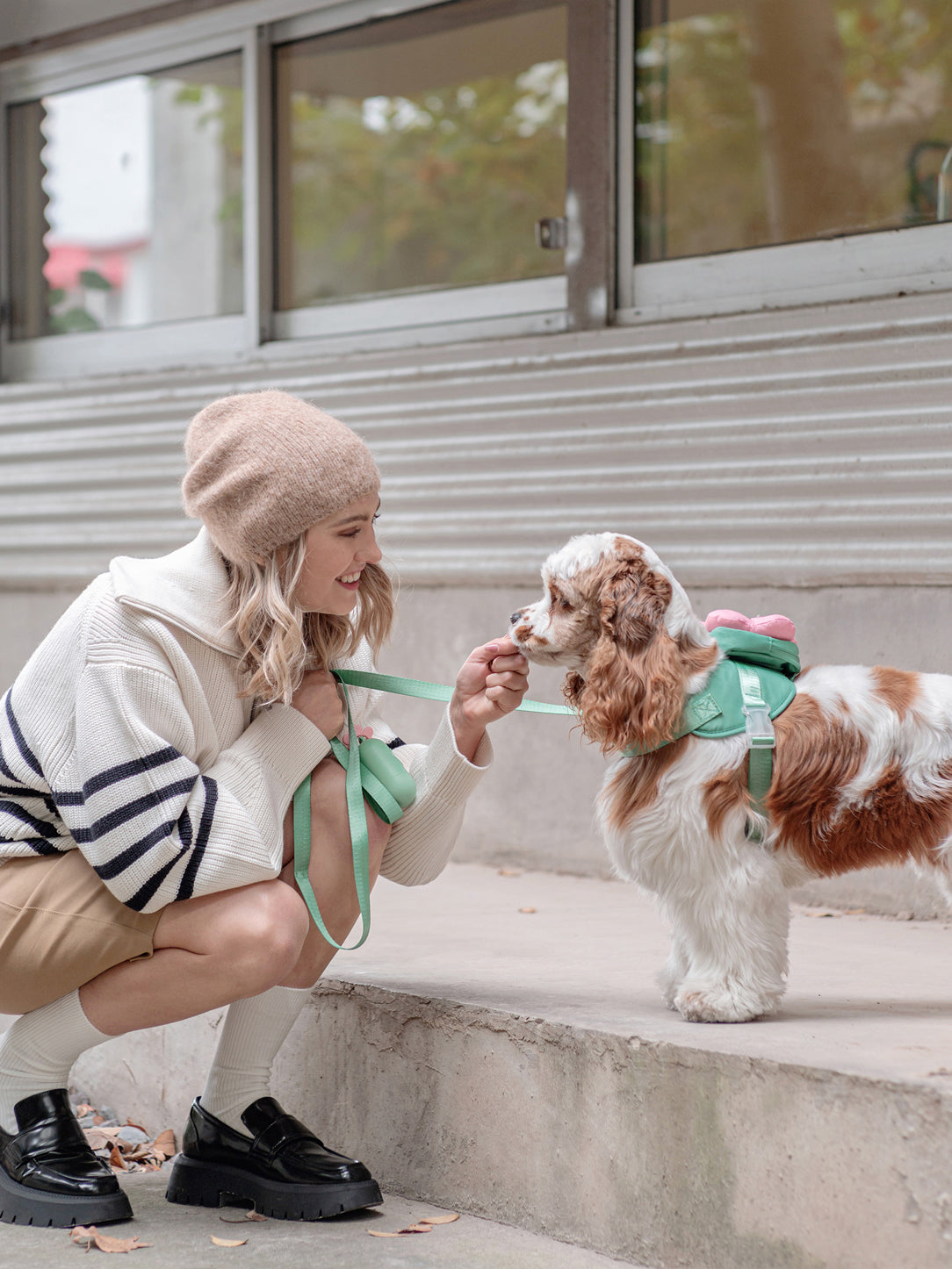 Flora Pet Walk Kit