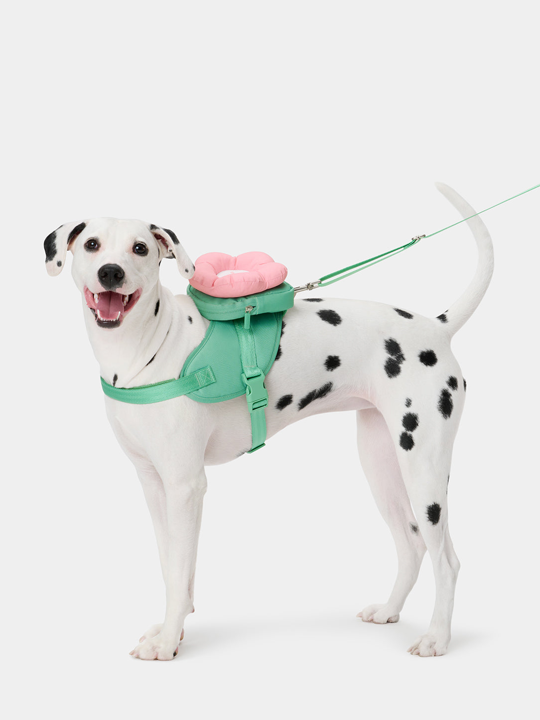 Flora Pet Harness & Backpack 3 in 1 Set